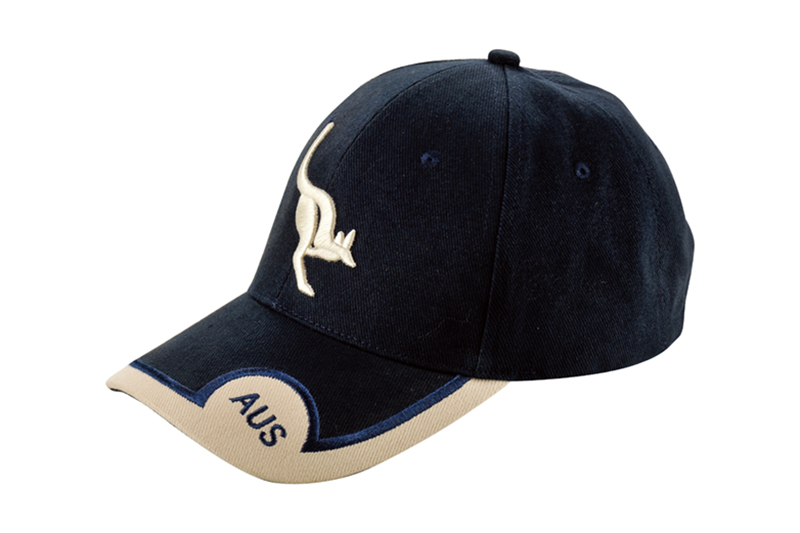 温州棒球帽LA013