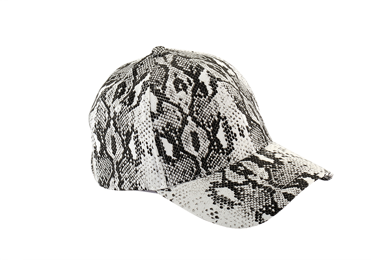温州棒球帽FDR_8891